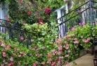Roses Gaprooftop-and-balcony-gardens-17.jpg; ?>
